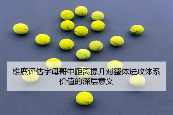 xiong-lu-ping-gu-zi-mu-ge-zhong-ju-li-ti-sheng-dui-zheng-ti-jin-gong-ti-xi-jia-zhi-de-shen-ceng-yi-yi-2-663.jpg