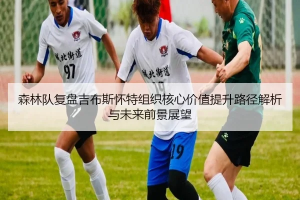 森林队复盘吉布斯怀特组织核心价值提升路径解析与未来前景展望